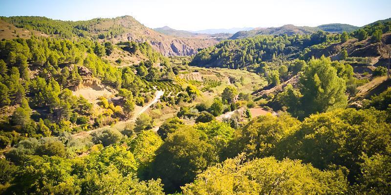 estubeny aigua 02 estubeny aigua 02