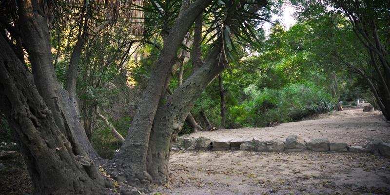 llosa ranes aigua 02 llosa ranes aigua 02